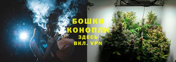 PSILOCYBIN Лихославль