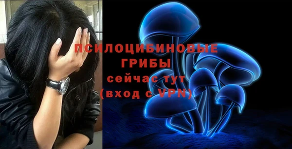 первитин Лагань